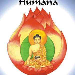 A Iluminação Humana-0