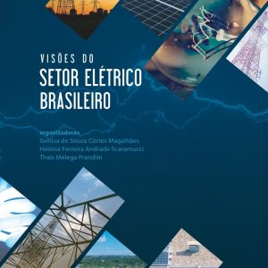 Visões do setor elétrico brasileiro-0
