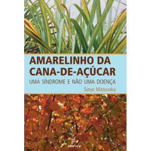 Amarelinho da cana-de-açúcar - uma síndrome e não uma doença-0